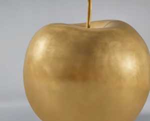 Pomme d'Hiver