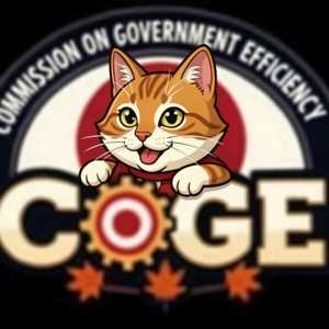 CommissiononGovernmentEfficiency