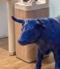 the blue bull