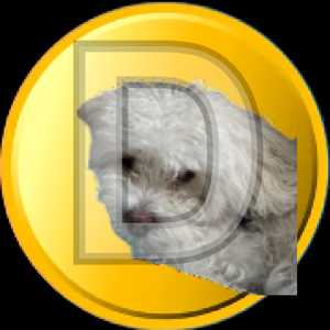 DelReyCoin logo