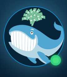 Mr. Whale