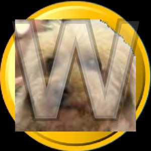 Wangcoin logo