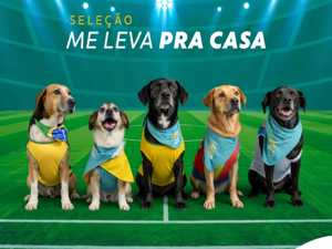 WorldPups