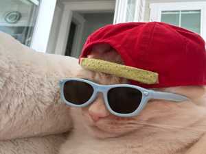 bennywearshats