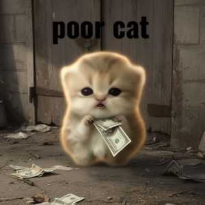 Poor Cat logo